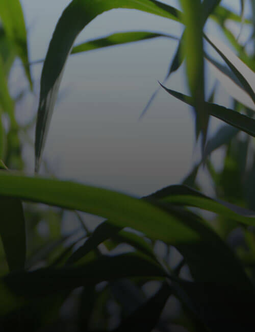 MMP GROUP Banner